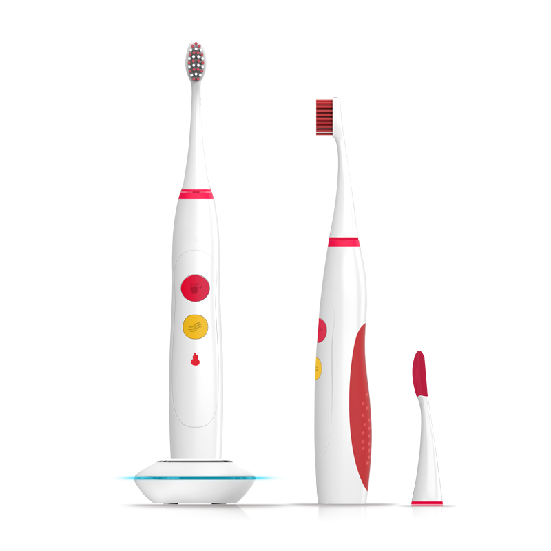Rechargeable Sonic Toothbrush
