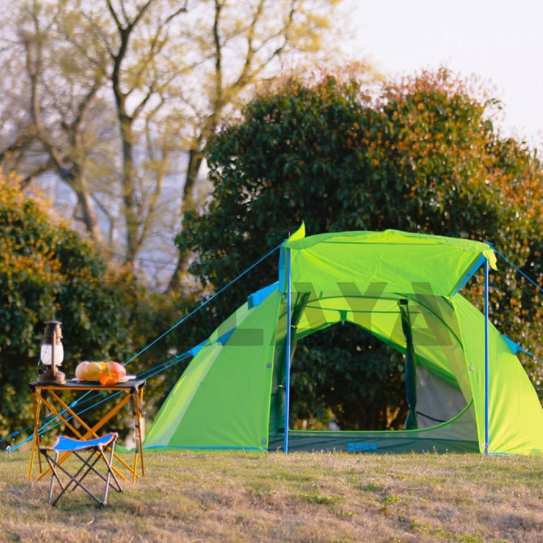 Dome Tent