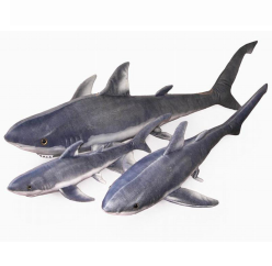 Great White Shark