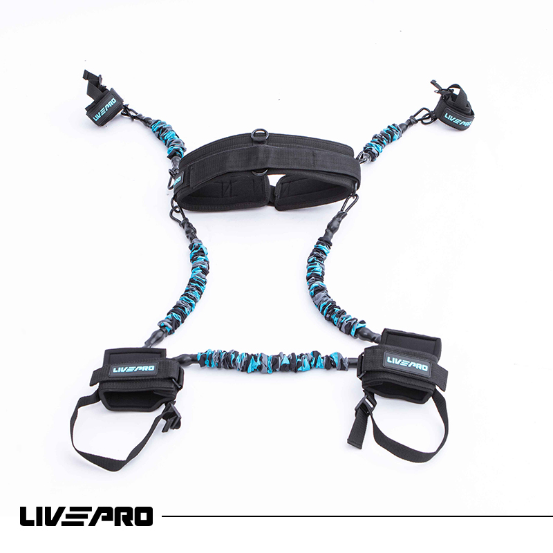 Lateral Resistor Pro