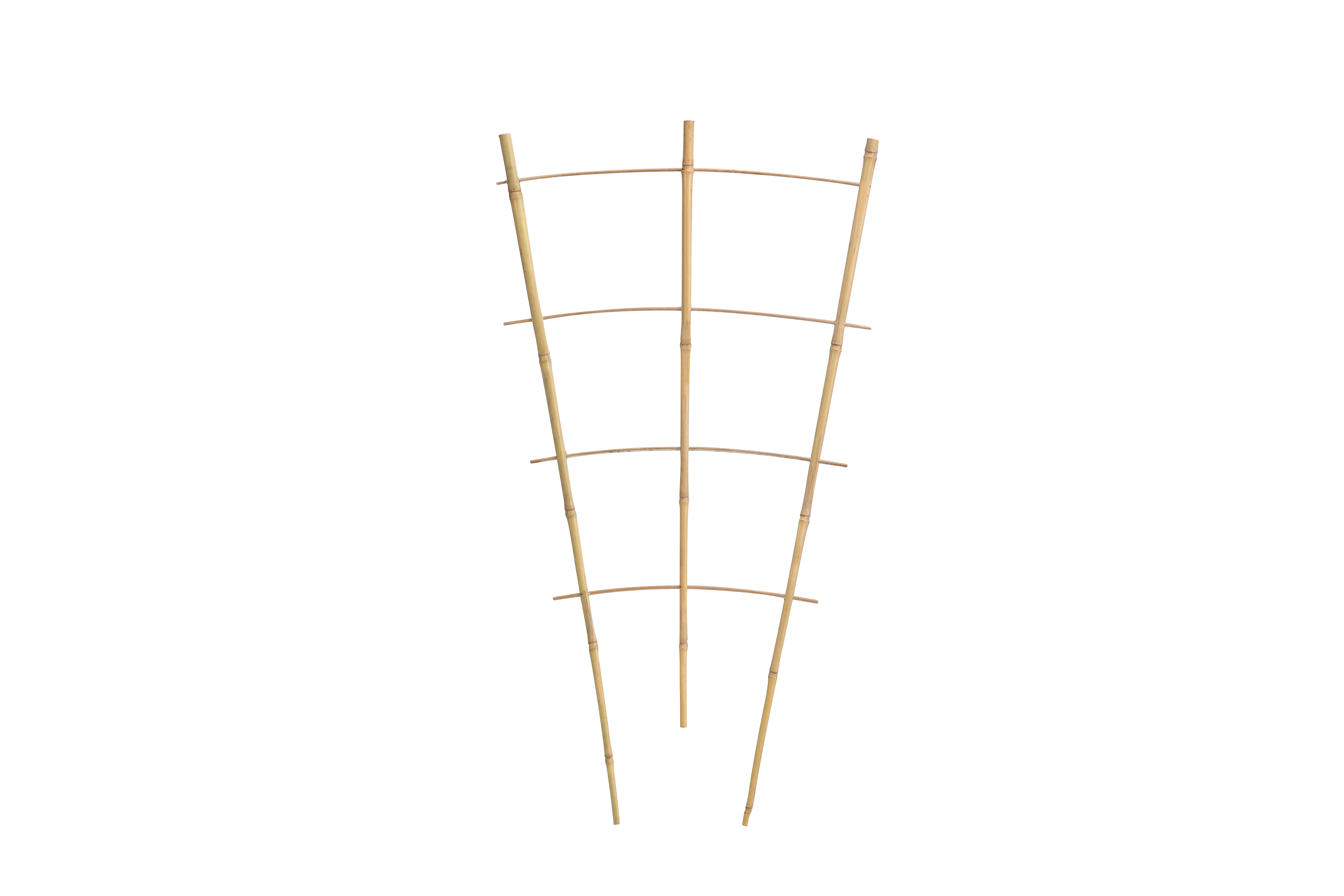 Bamboo Ladder