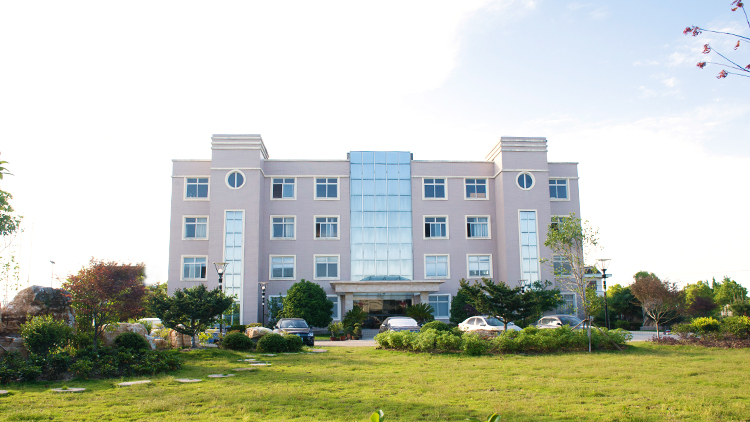 Nantong Weifu Sanfeng Clothing Co., Ltd. – Down quilt 1