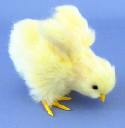 Chick