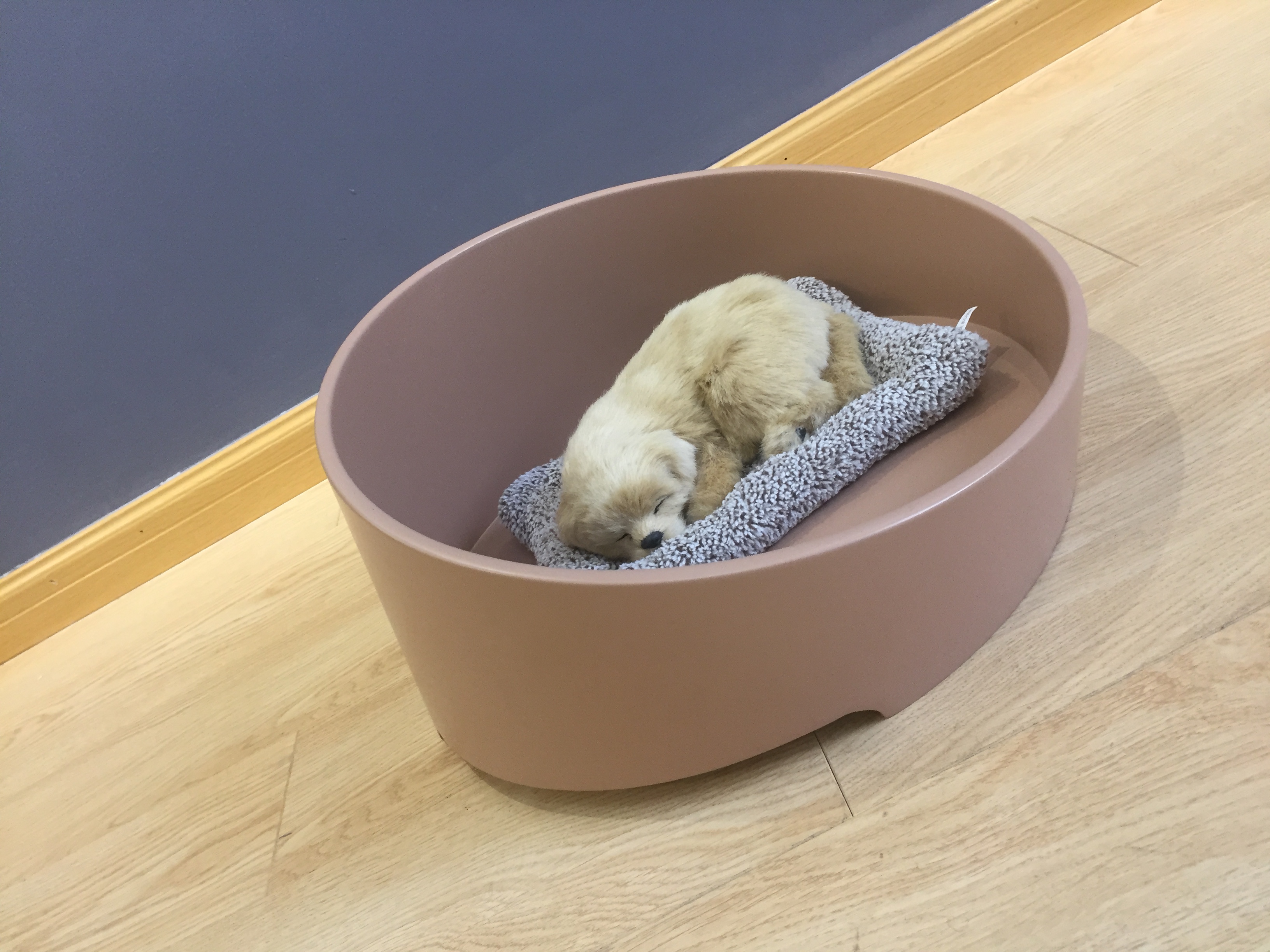 pet bed