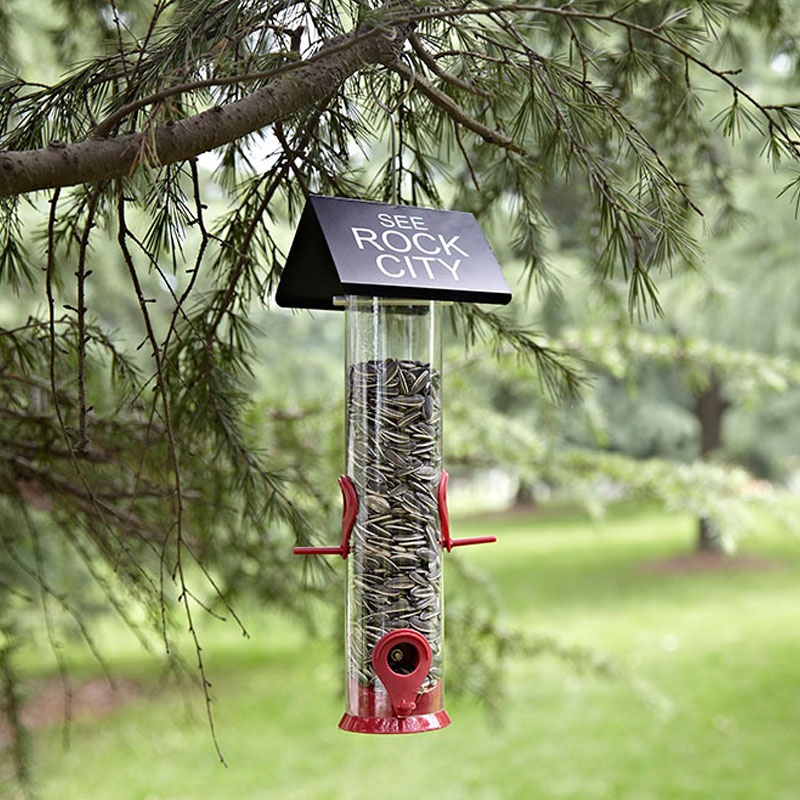 bird feeder
