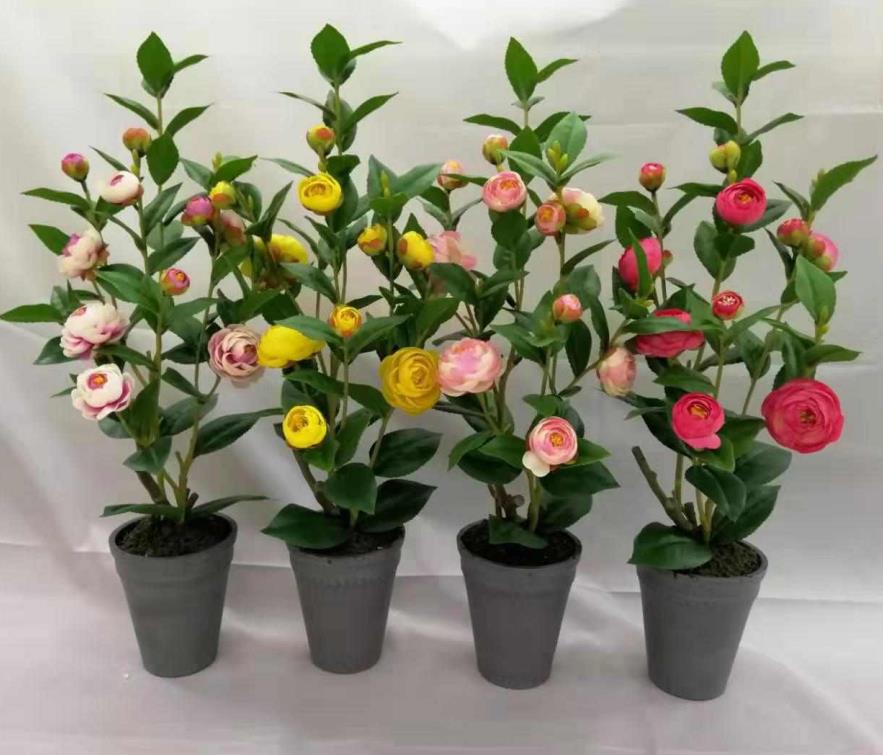 0136#potted Tea Rose