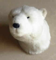Polar Bear Head