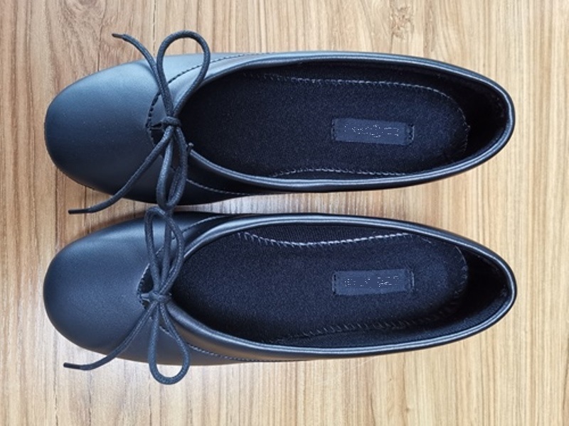 Lady's Ballerina Slippers