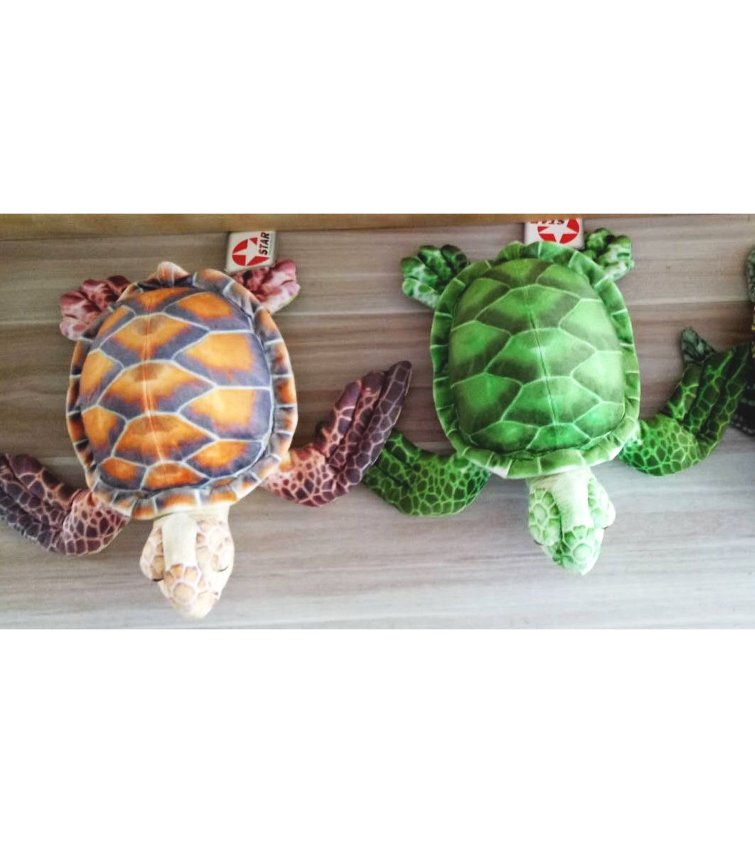 Sea Turle
