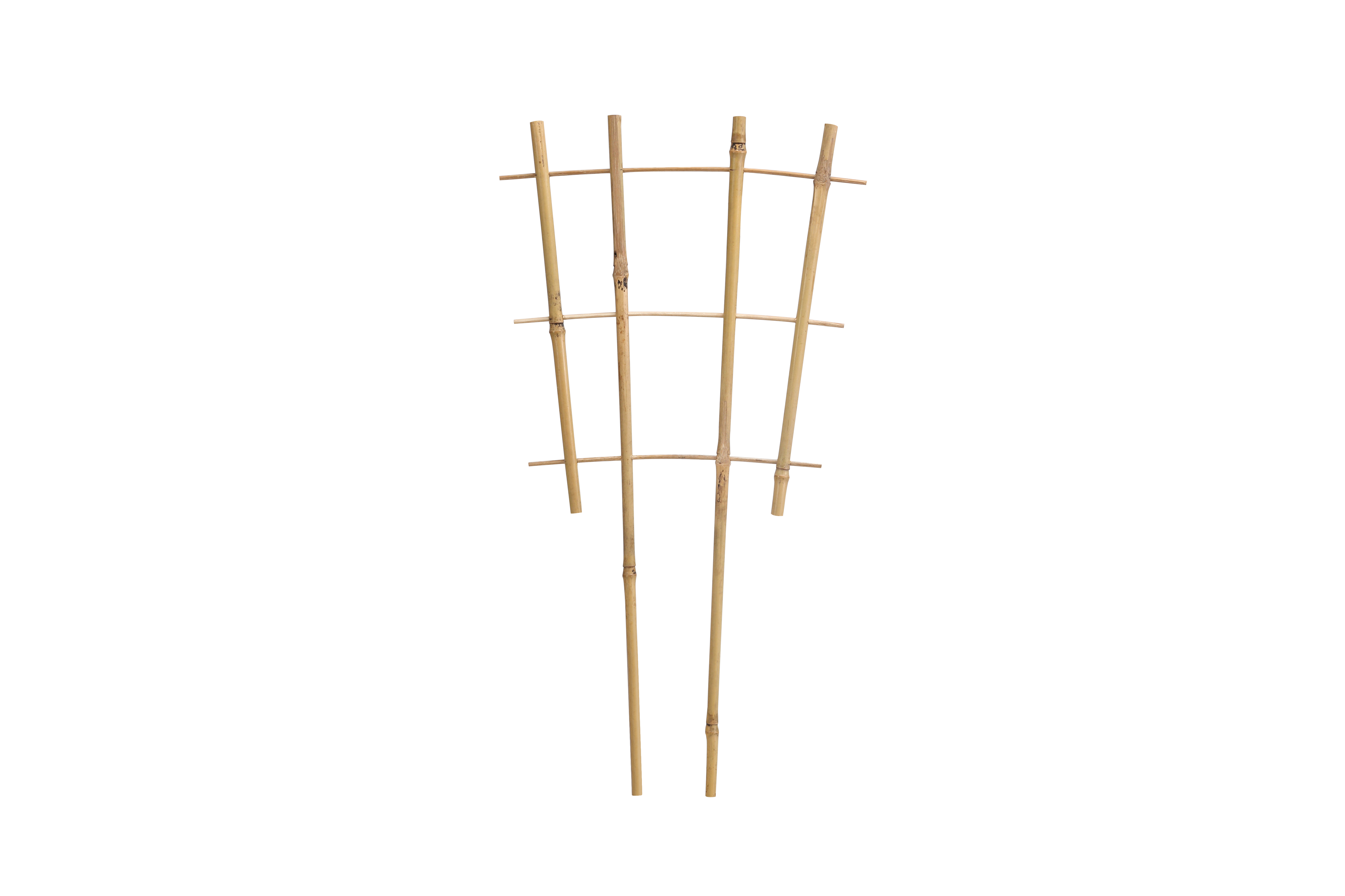 Bamboo Ladder