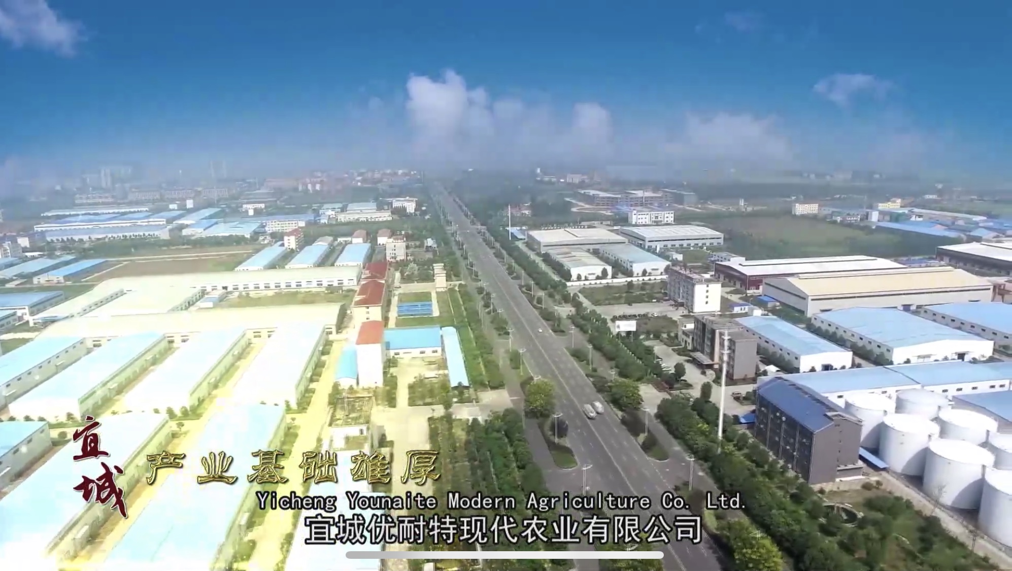 Yicheng Younate Modern Agriculture Co., Ltd. – Other edible fungi 1
