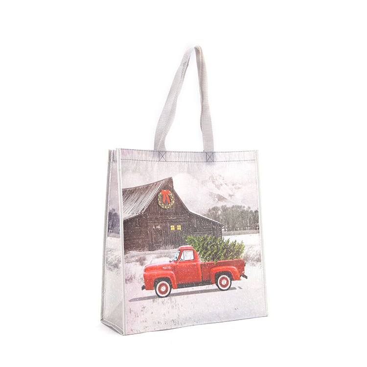 Cangnan Zipper Waterproof PP Laminated Non Woven Shopping Bag