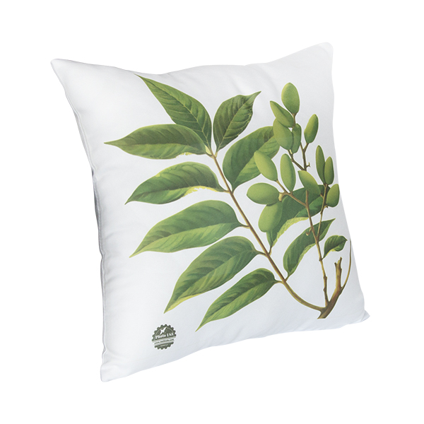 White Pillow w/ Insert