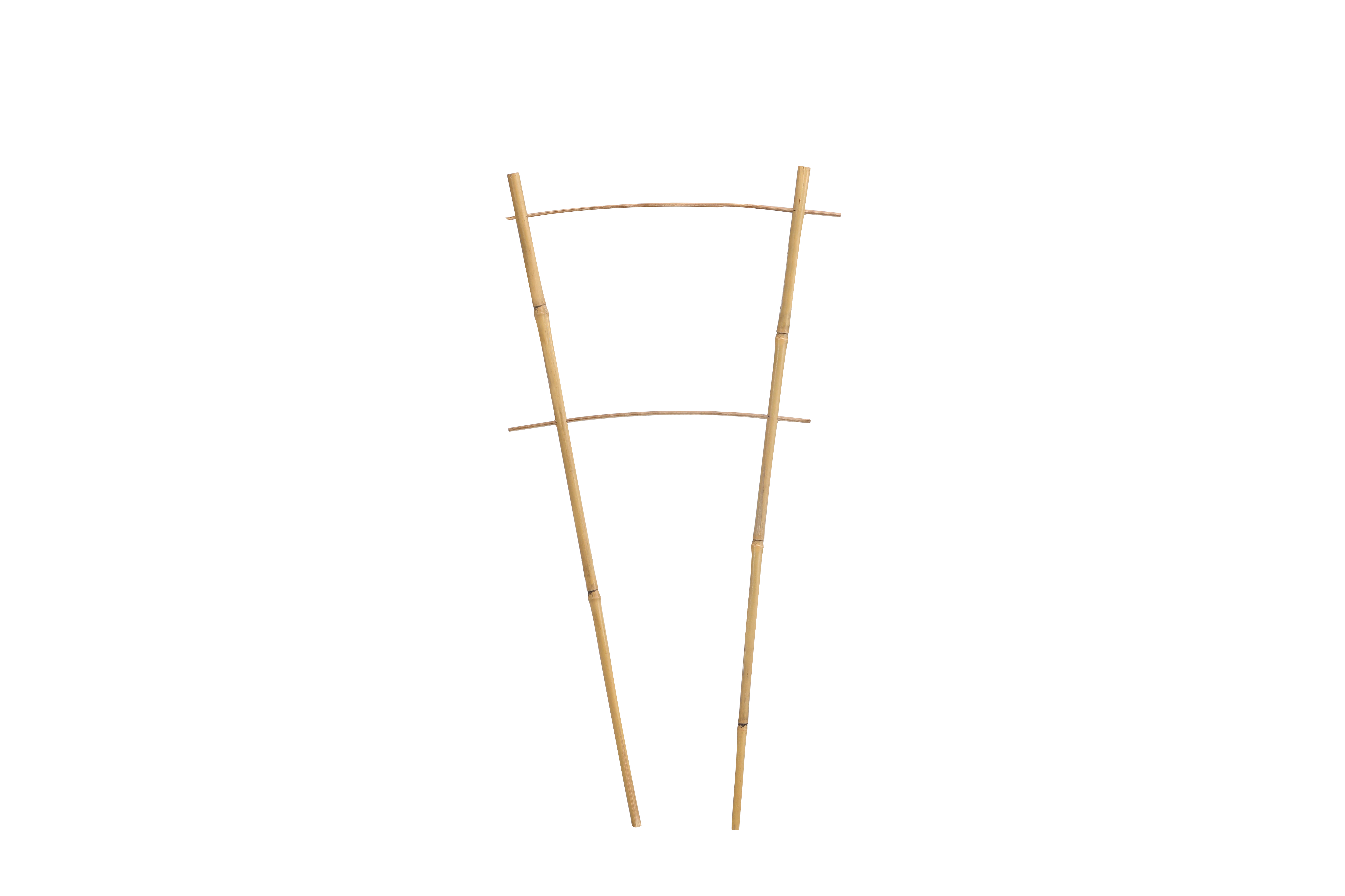 Bamboo Ladder
