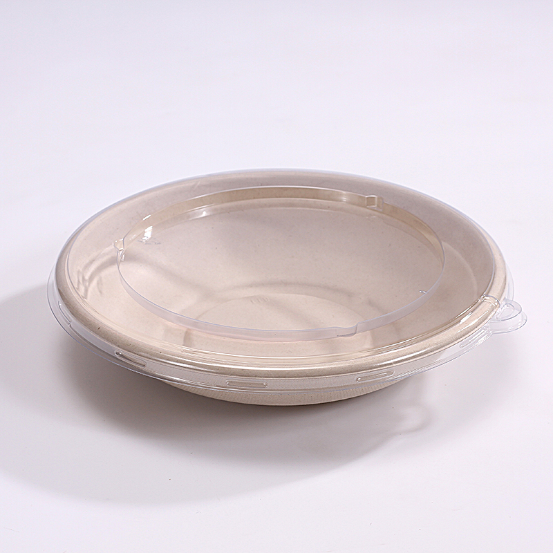 biodegradable bagasse rectangle tray