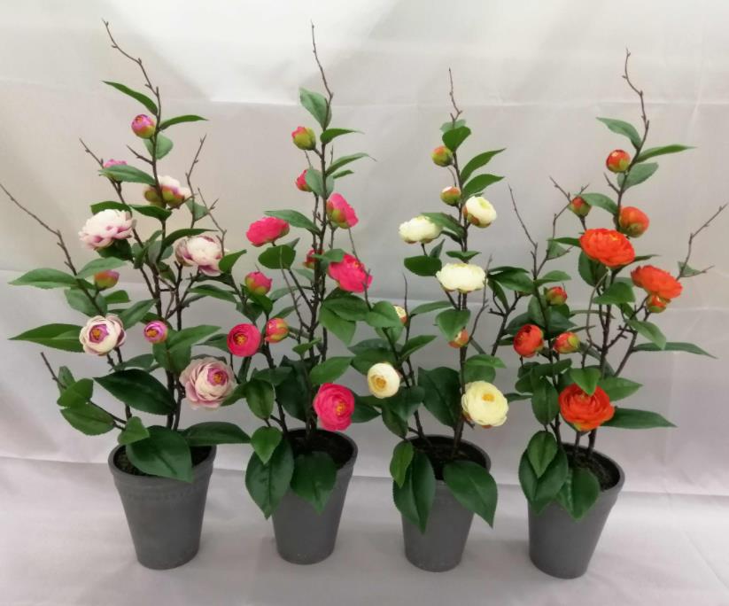 0135#potted Tea Rose
