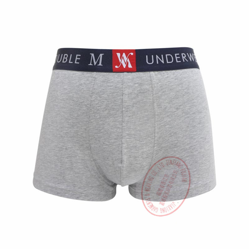 Men's Boxer