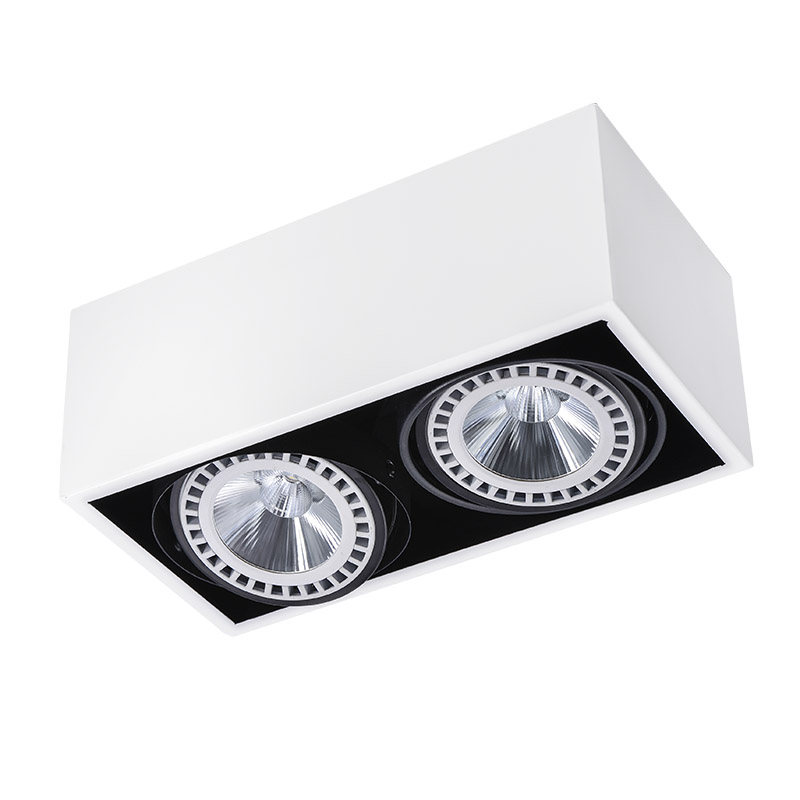 AR111 Lighting Fixture