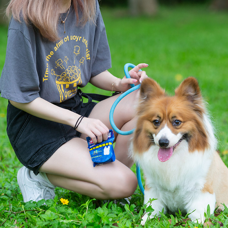 A Pet Dog Cat Poop Waste Bag