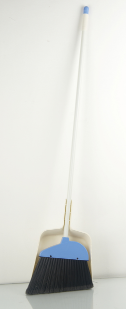Dustpan w/broom