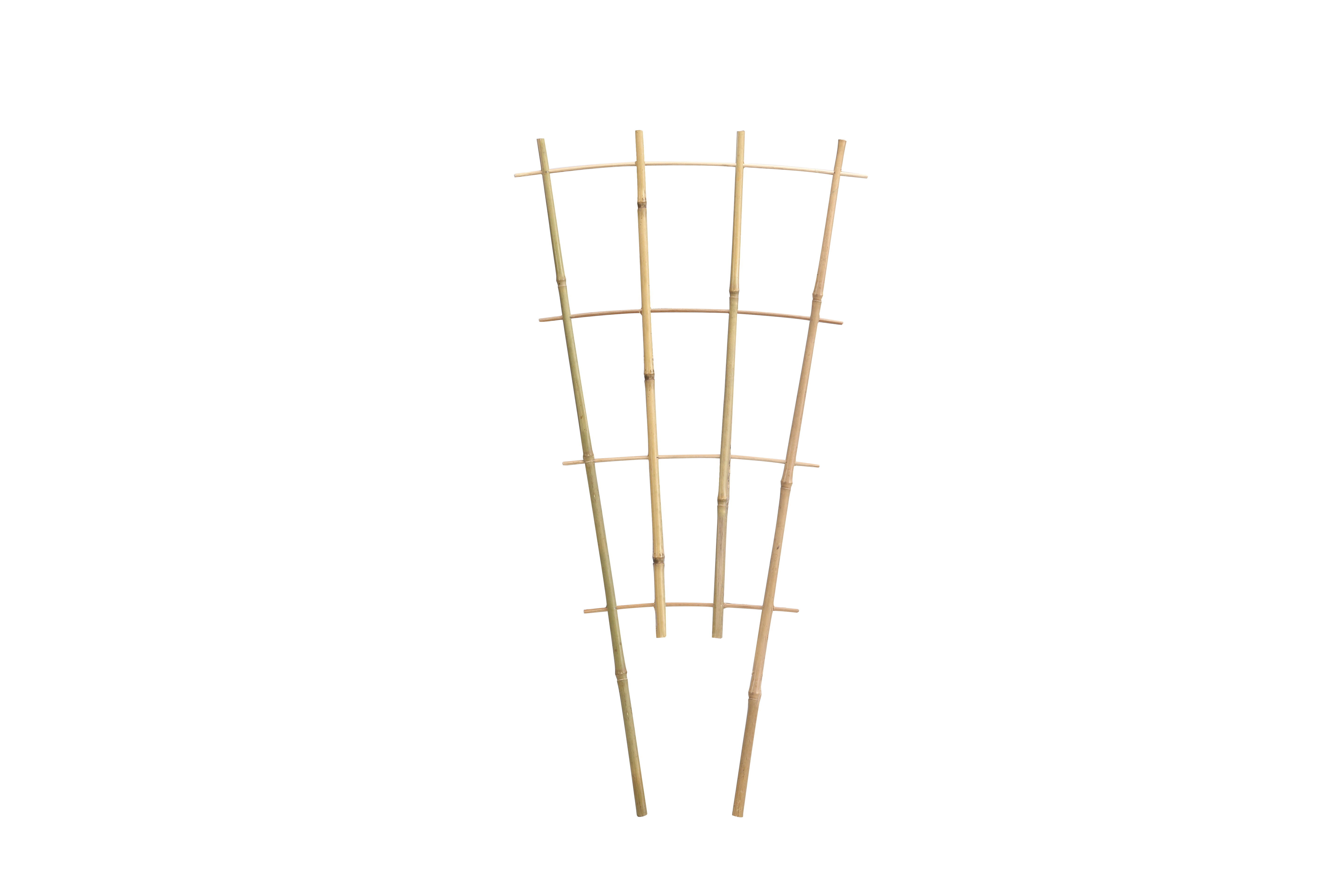 Bamboo Ladder