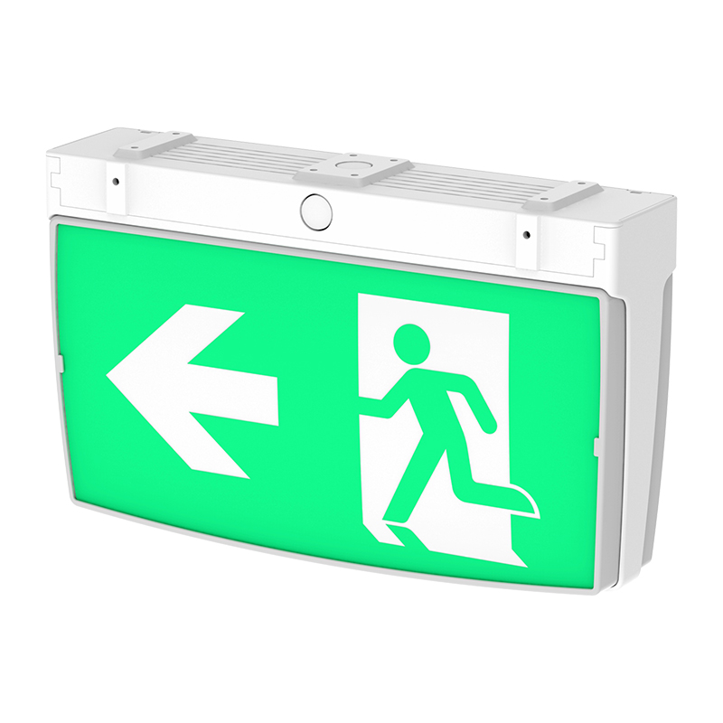 IP20 plastic emergency light box Emergency Light