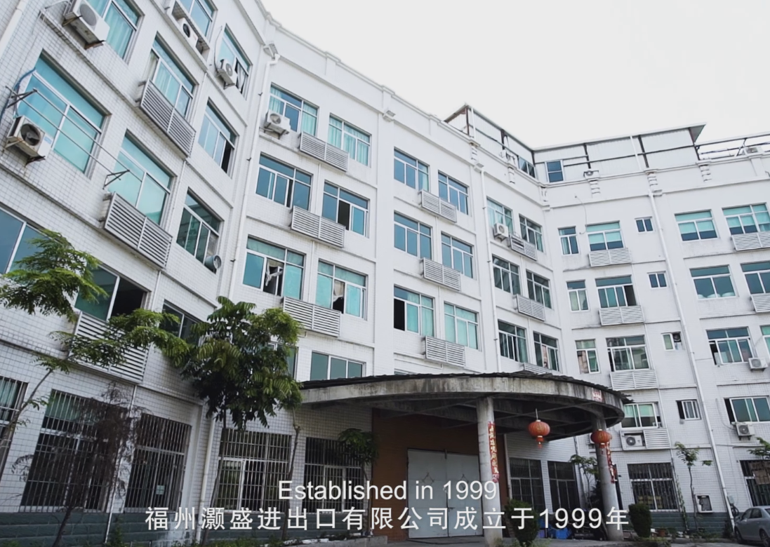 Fuzhou Haosheng Import and Export Co., Ltd. – plug 1