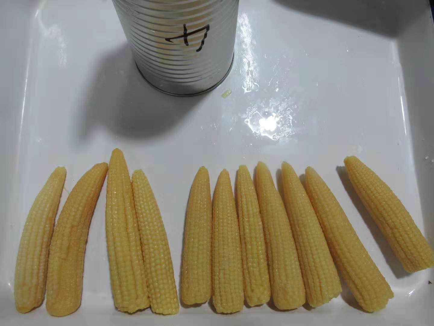 ZHANGZHOU TONGFA FOODS INDUSTRY CO,.LTD – colchoneta de yoga 4