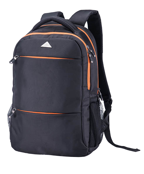 Business laptop backpack