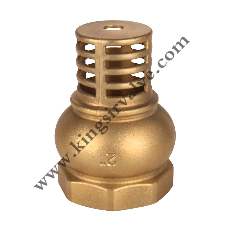 Brass check valve