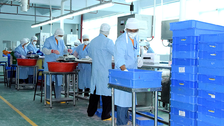 Enping Anyi Daily Chemical Co., Ltd. – soap 3