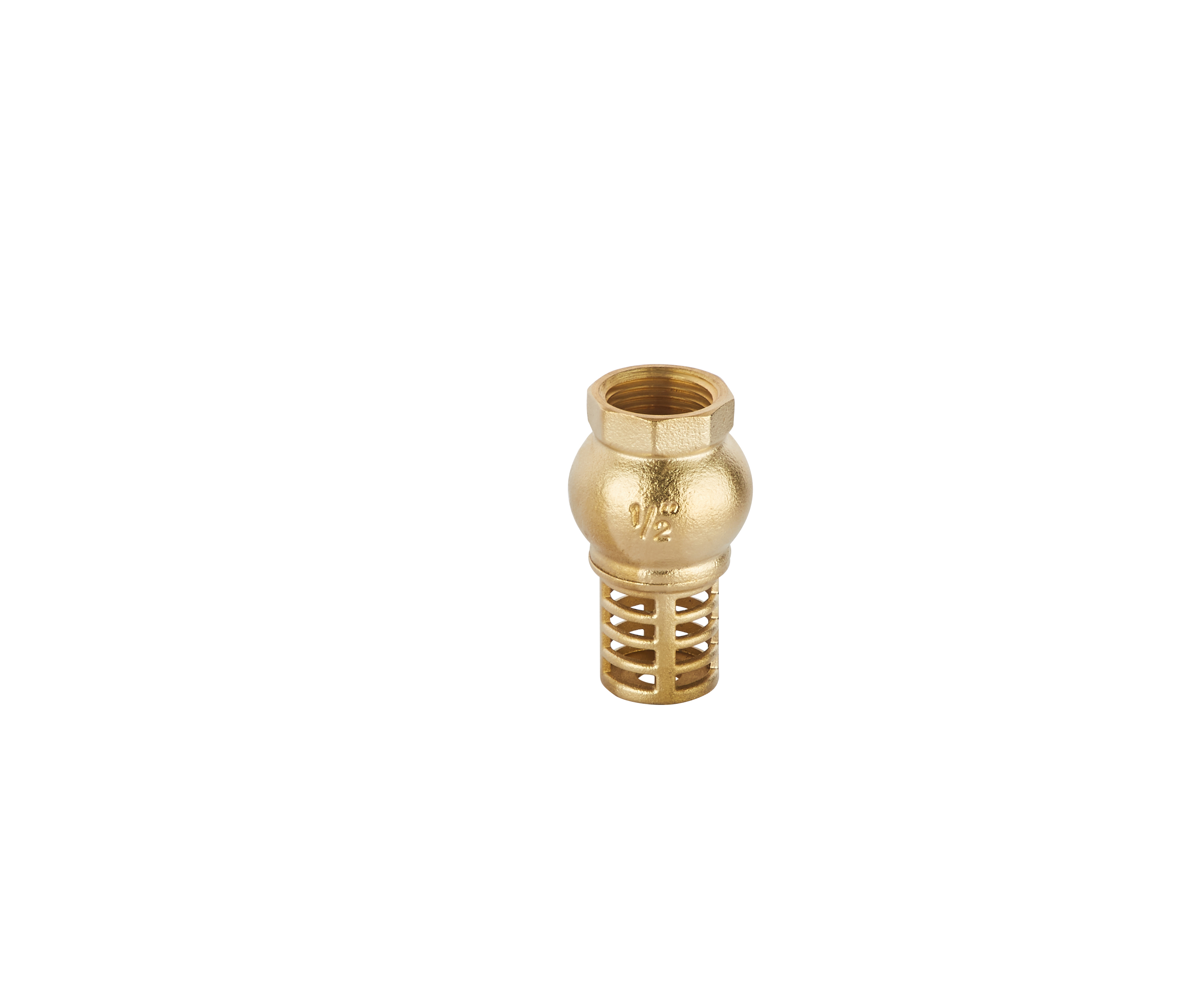 Brass Check Valve
