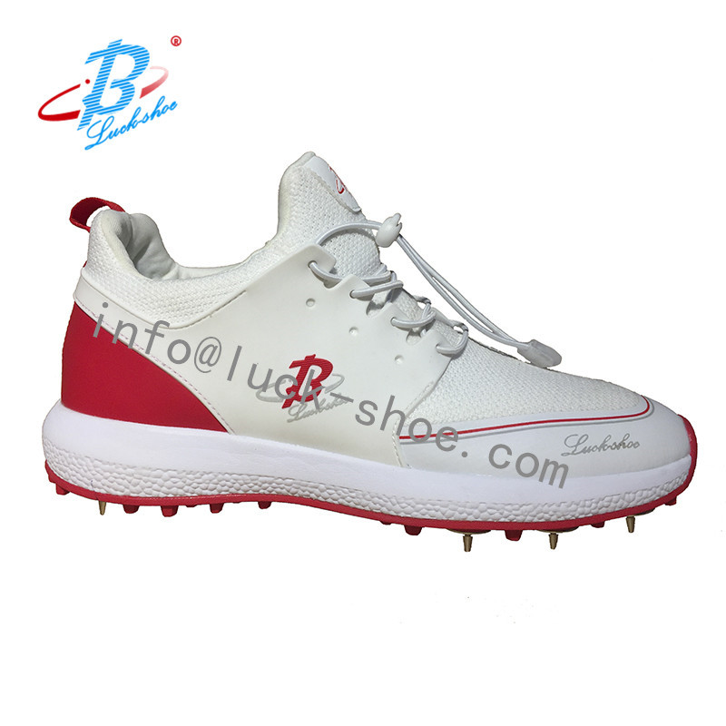 Cricket shoes/ Cricket Sports Shoes with metal spike