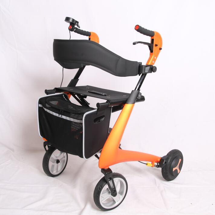 Guangdong Dayang Medical Technology Co., Ltd. – walking stick 3