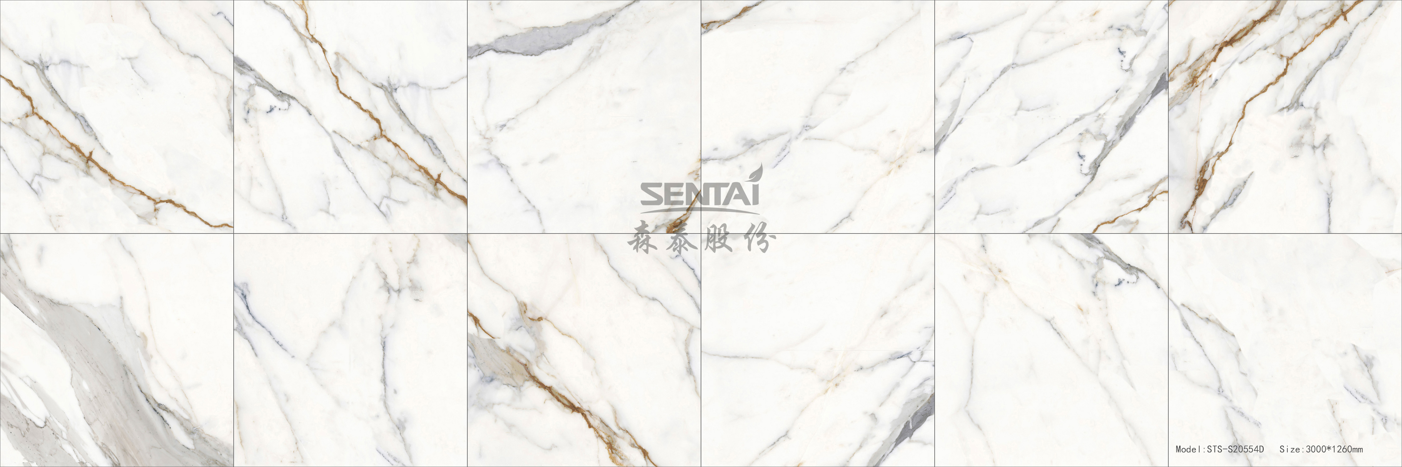 Digital Printed flooring/wall panel