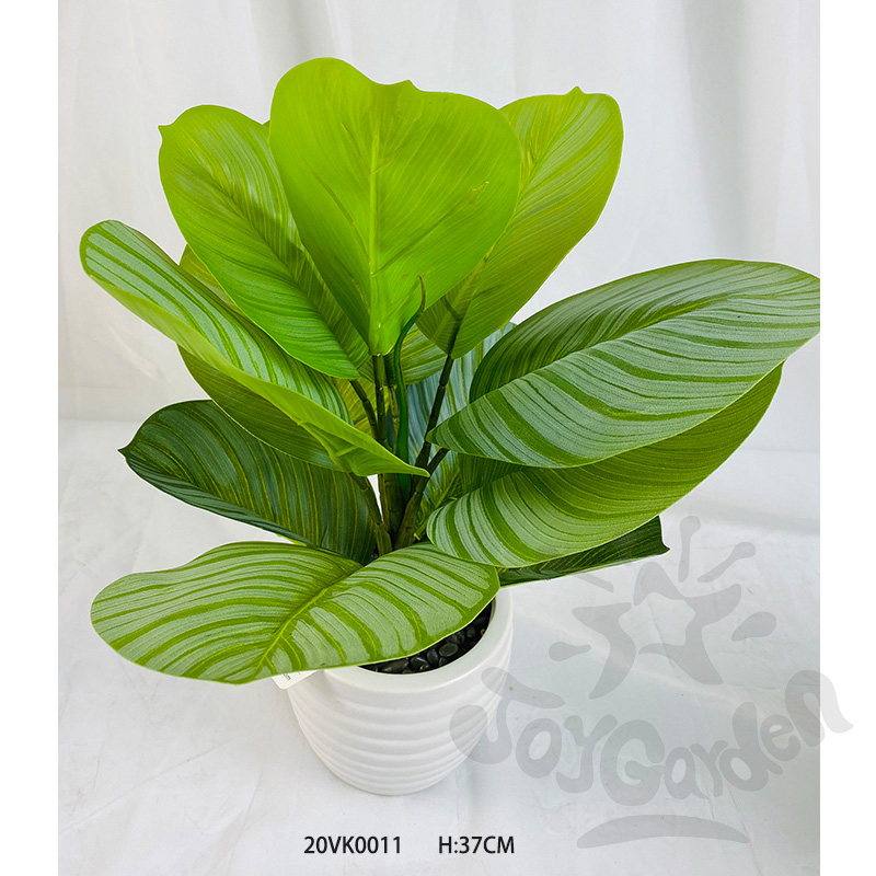 Artificial Plants