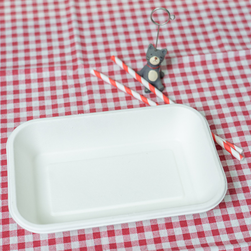 Disposable lunch box biodegradable tableware bagasse takeaway food container boxes