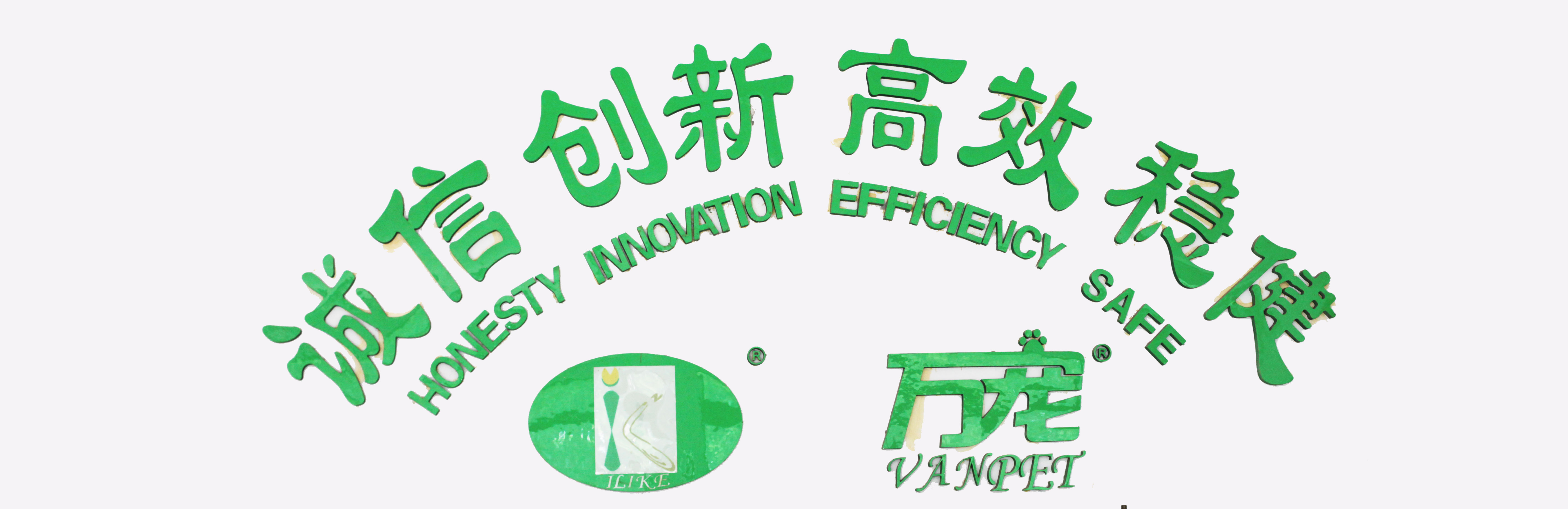 Luohe Wanchen Industrial Co., Ltd. – Bathroom gloves 1