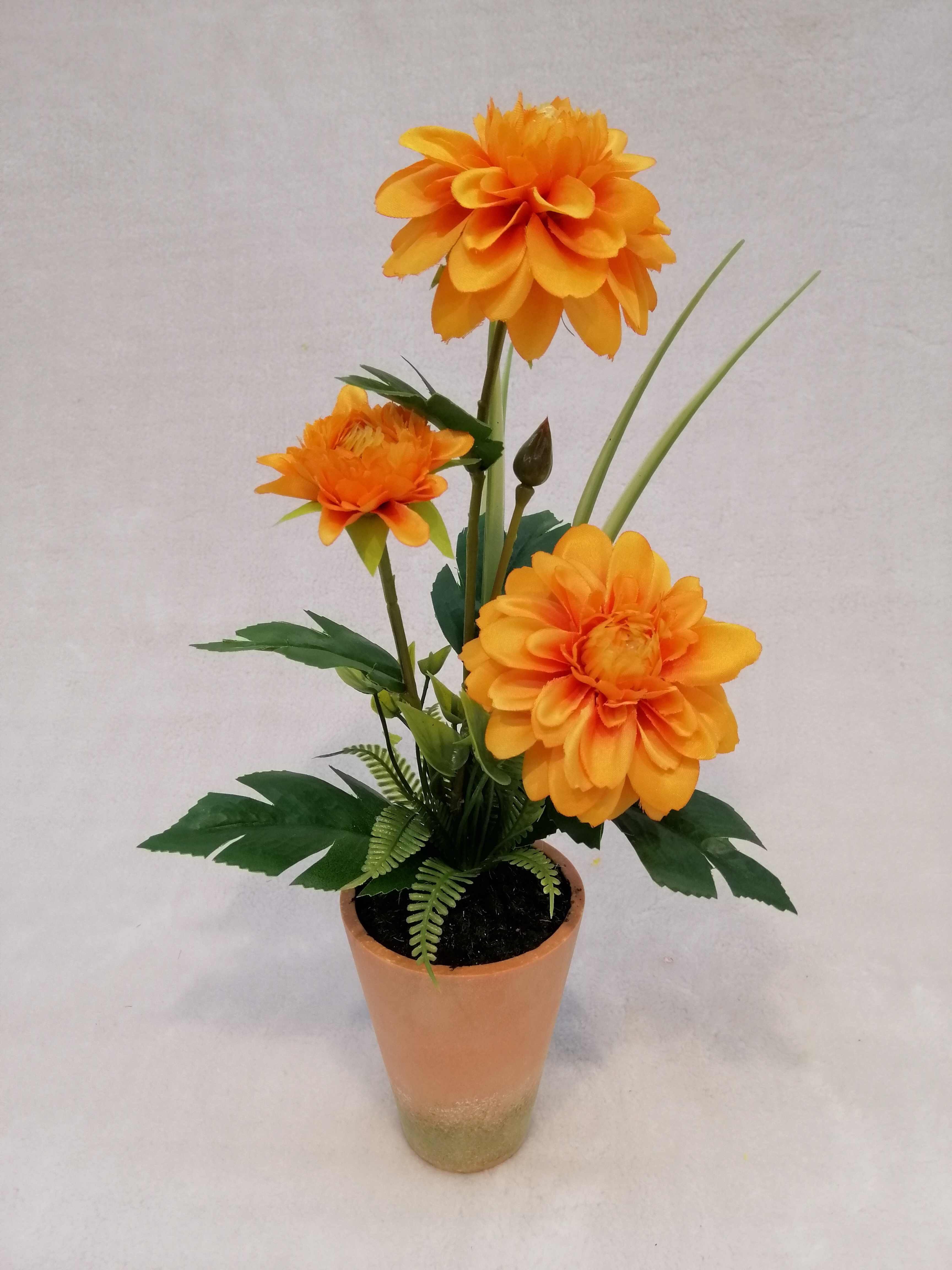 0143#potted Dahlia Flower