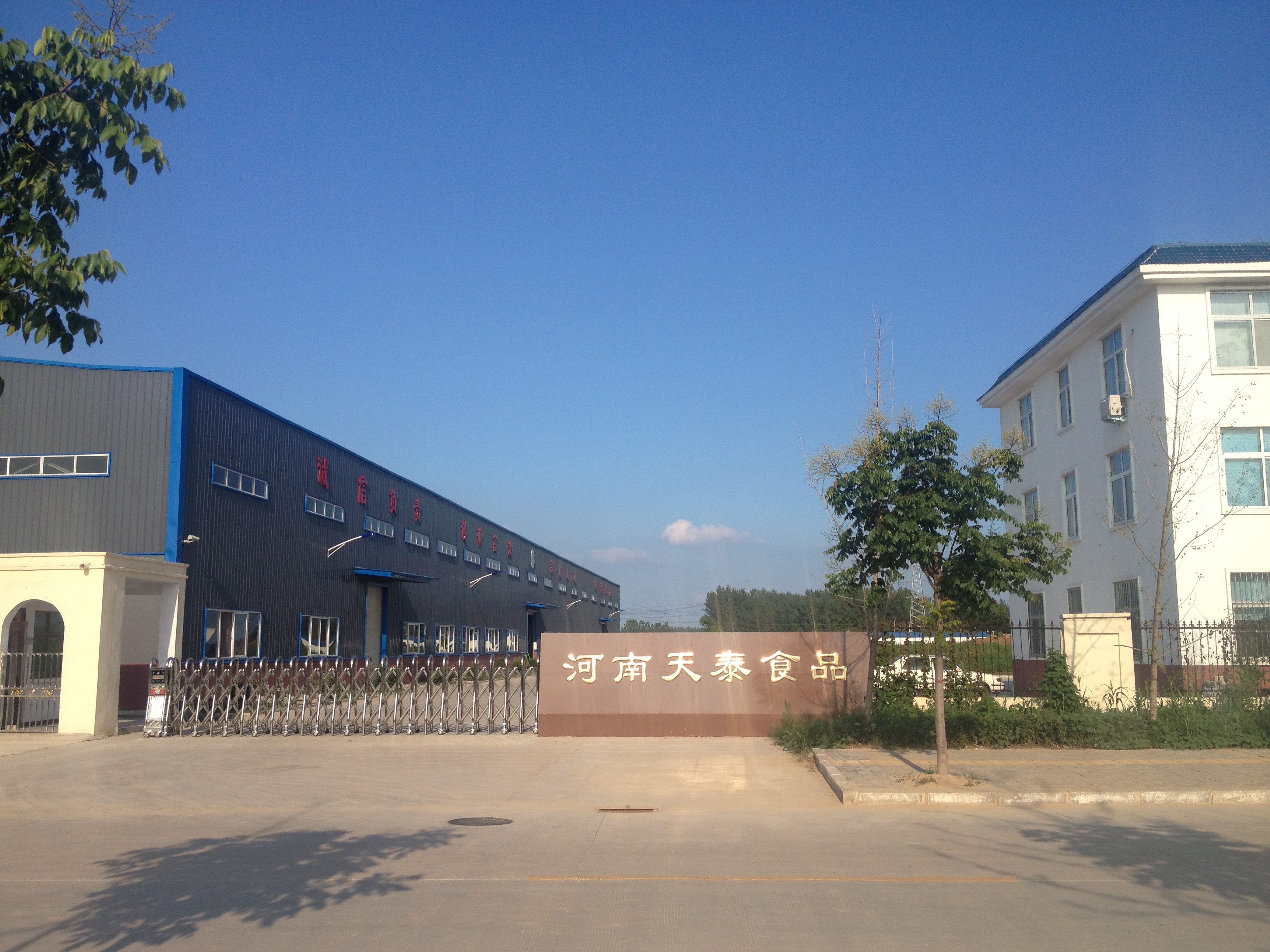 Henan Tiantai Food Co., Ltd. – canned meat 1