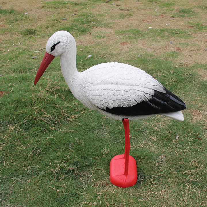 crane