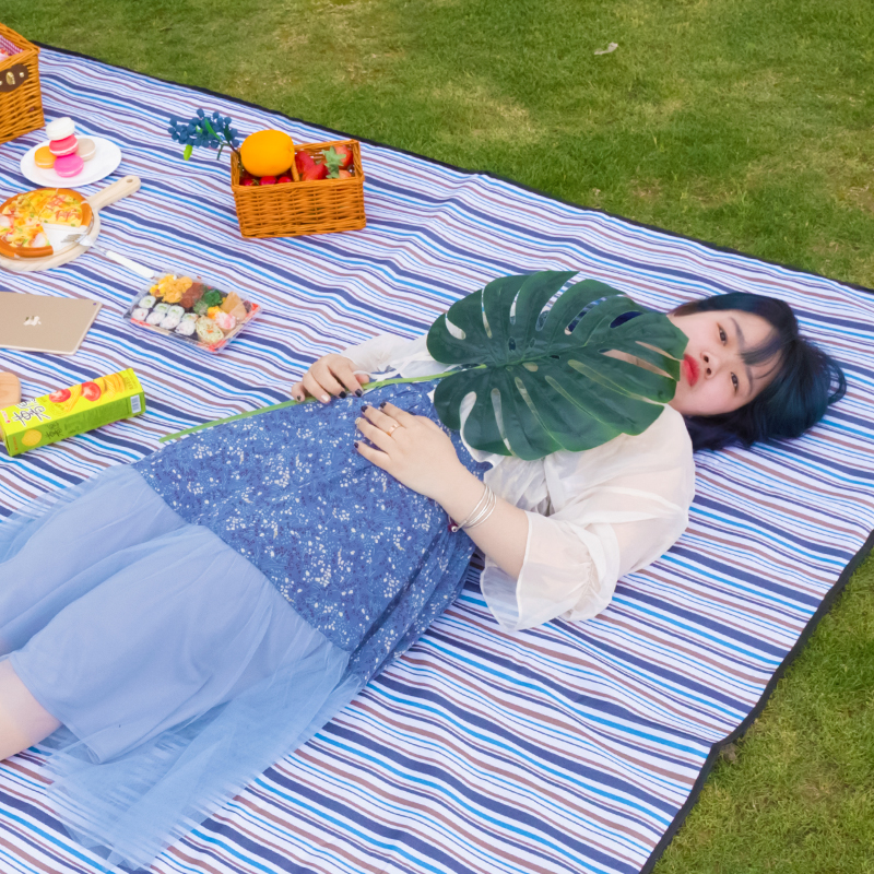 Picnic Blanket