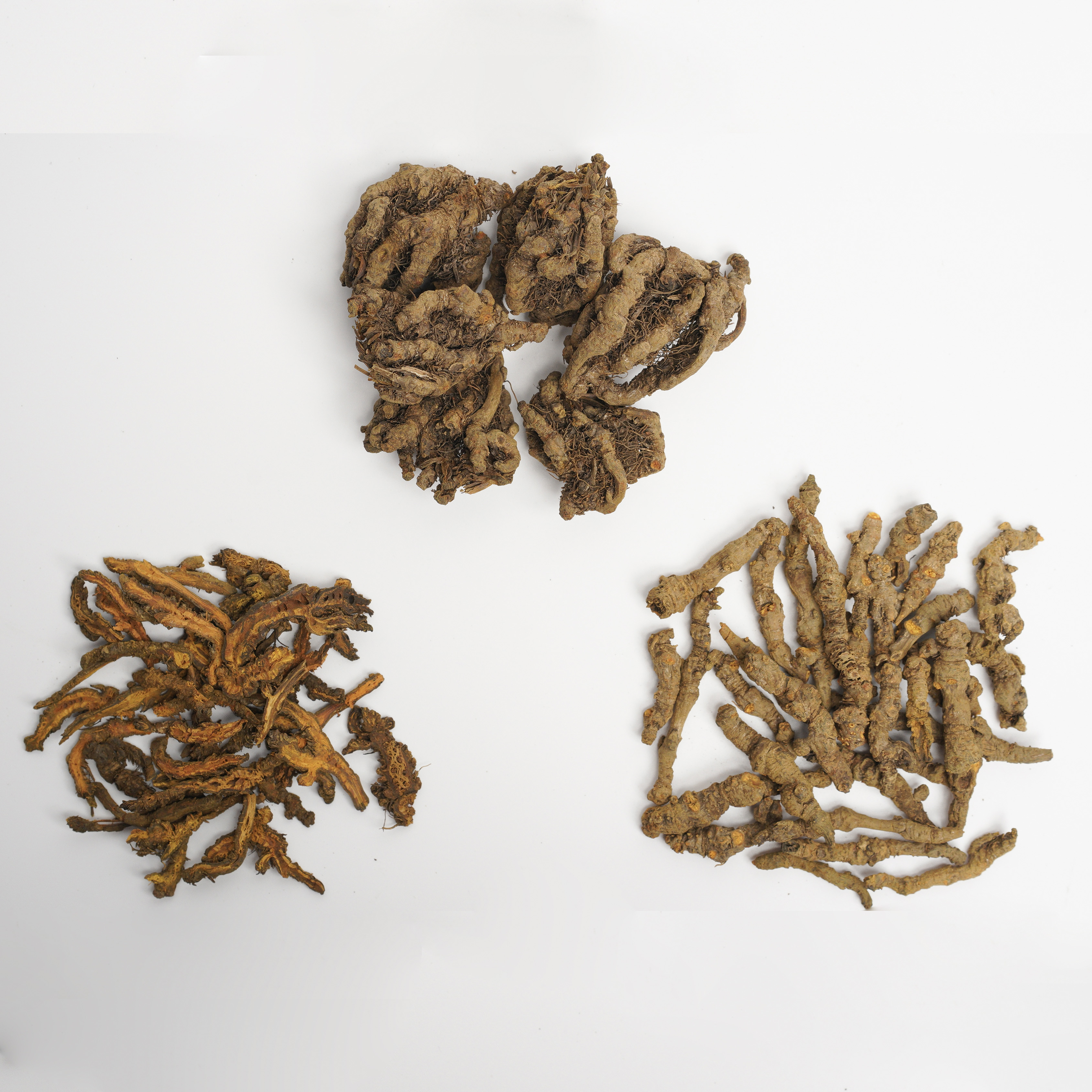 Rhizoma Coptidis