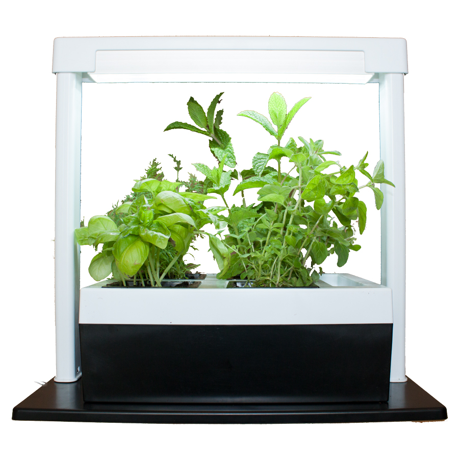 Herb Lamp with Twin Pot