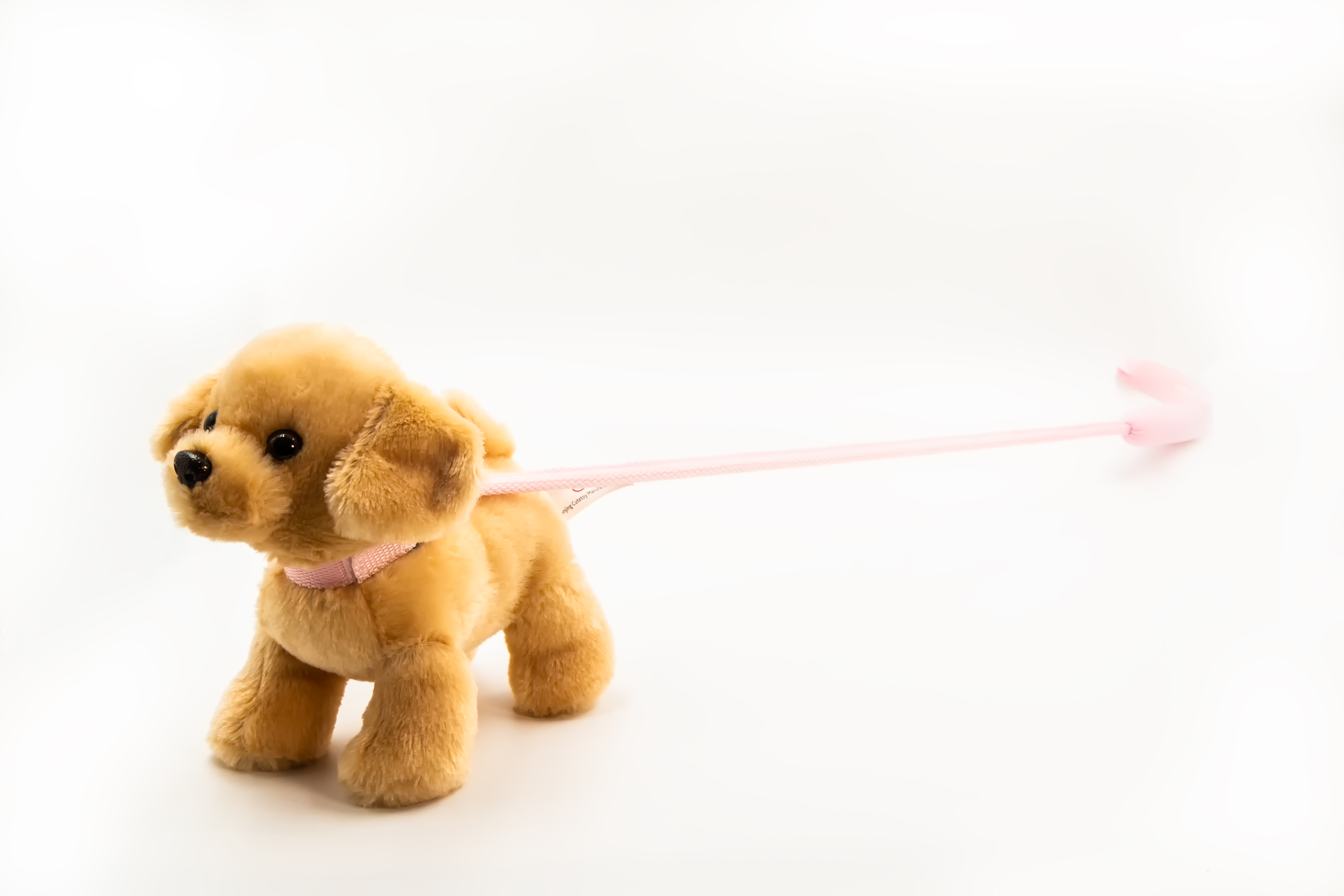 Plush dog on lead