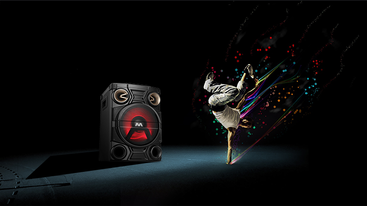 Shenzhen Baiyier Electronics Co., Ltd. – portable speaker 1