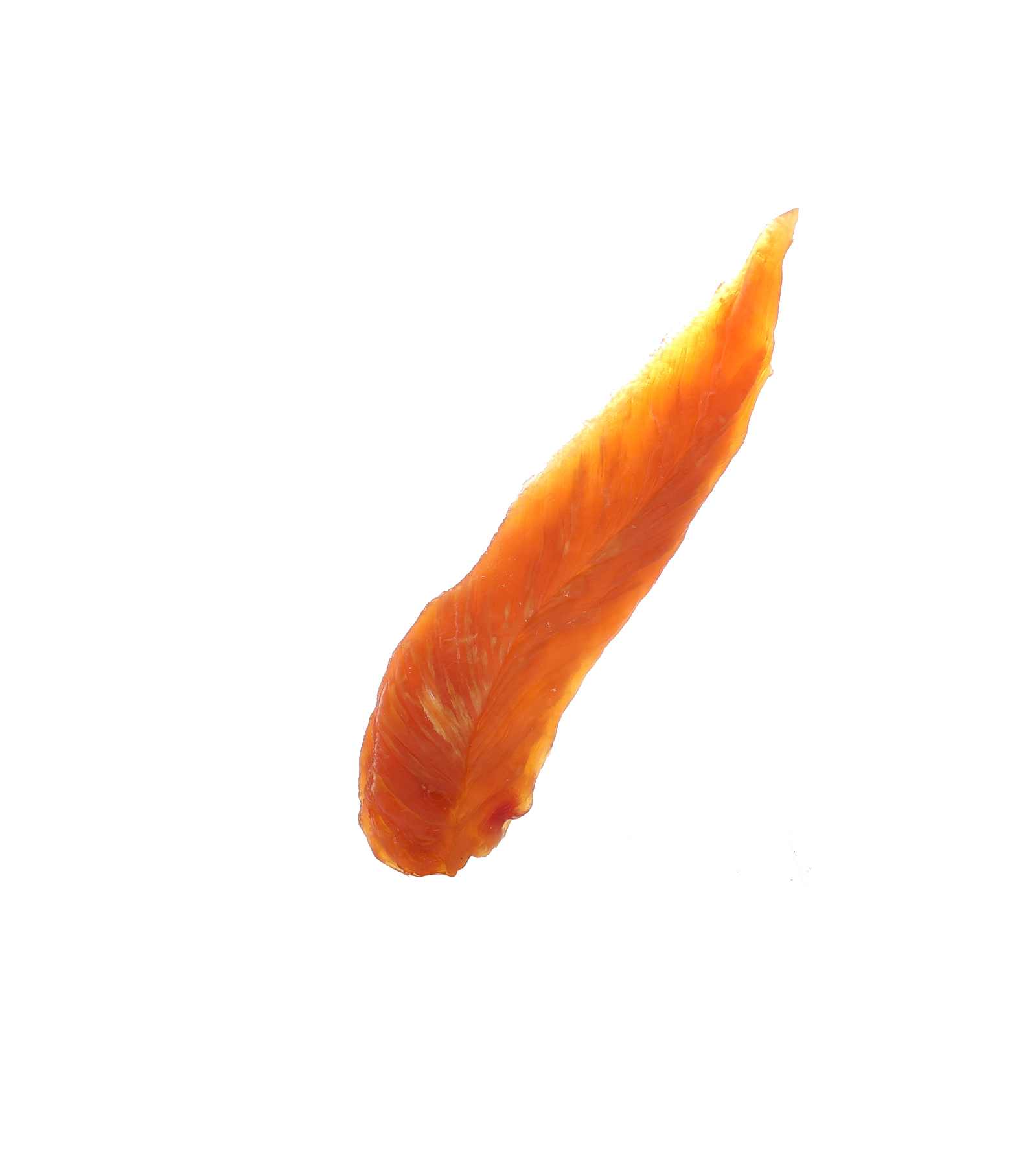 Wenzhou Qiping Pet Nutrition Technology Co., Ltd – colchoneta de yoga 4