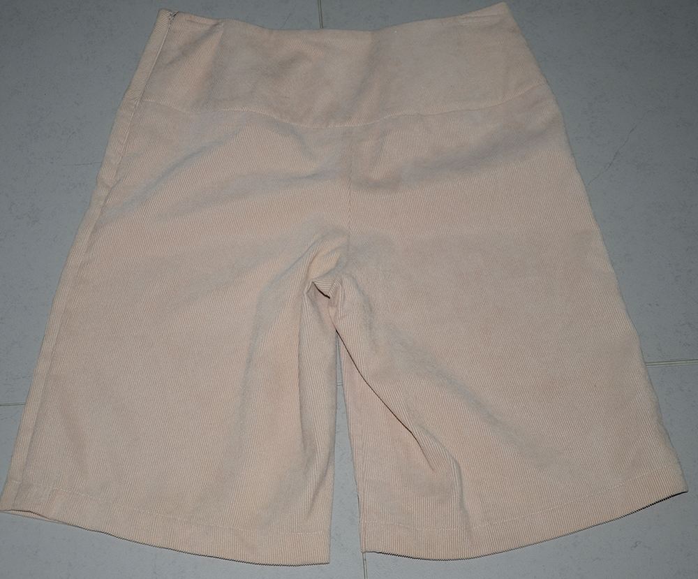 women's skirt pants