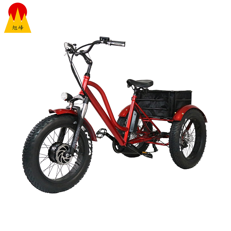 WUXI JIANGYIN XUFENG ELECTRIC BICYCLE CO.,LTD – cadena de bicicleta 1