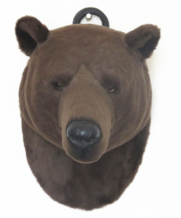 Bear Head